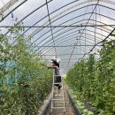 수민 일농장 이미지