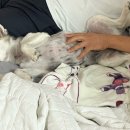 폴짝하우스 이미지