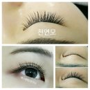 에스샾(S#)뷰티홀릭 | [방문] 5차 송내 S뷰티에서 30가지이상 종류의 속눈썹 선택해서 시술받을 체험단 모집!