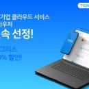 타이거컴퍼니 이미지