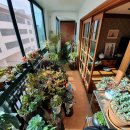 동홍동3 이미지