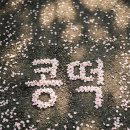 외가집곰탕 | 4월은 제 것입니다만