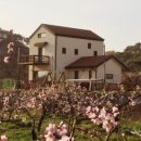 스테이반시 이미지