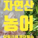 거도수산