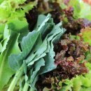 정석농장 이미지