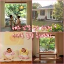 귤밭민박 이미지