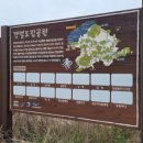 장산 팽진리 김희중 효자각 | *장산도 유적지 탐방*