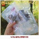 분홍지니 손톱