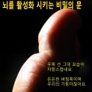 엄지는 가장이다 이미지