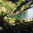 올레풍차 이미지