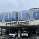 신다리