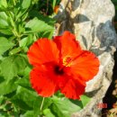 휴식시간 이미지