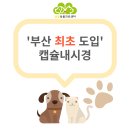 금빛동물병원 이미지