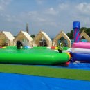 스파고기 이미지