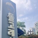 내정로174번길 이미지
