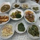 시내생김치백반