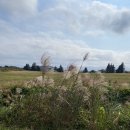 낙천리장 이미지