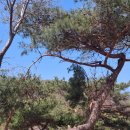 청도강변돌고래펜션 이미지