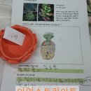 아인아트미술학원