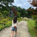 고길천로 | 은한이 삼경인제 : 하우스못골 | 이화에월백하고