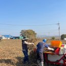 대호지축산 이미지