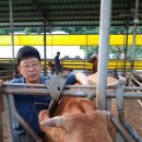 심원용농장 네이버블로그