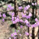 춘양면사무소 이미지