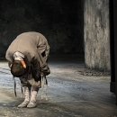 김신프로헤어 | 이까짓 것에 목이 메는 바람에