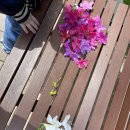 창의미술3 이미지