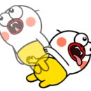 히든캠프 이미지