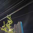 조은환경 | 구미문성마사지 조은타이 솔직후기