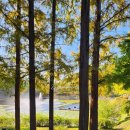 목공예(야간) | 청주 단풍 보러 가볼만한곳 청남대 가을축제 입장료 예약 주차 후기