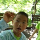 보림유치원 이미지