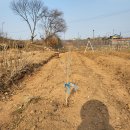 개금농장 이미지