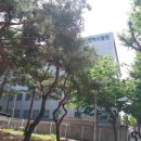 한국신체정보(주) | 1종 보통 운전면허 갱신 I 강남운전면허시험장 평일 현장접수 후기