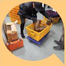 도봉-도봉-서울도봉-2368 이미지