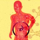 BNA FITNESS 이미지