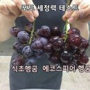이코유통