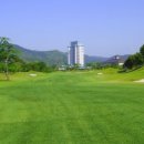 홍이 골프 이미지