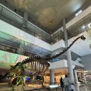 계룡산자연사박물관 | 아이랑 가볼만한 곳: 계룡산 한국자연사박물관, '청운...보러 다녀온 솔직후기 (여름 피서지 추천)