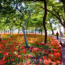 국민여가캠핑장 이미지