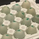 통일청란 이미지