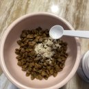 로얄펫 뉴트리션 이미지