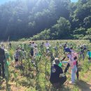 냇강마을 이미지