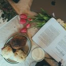 종로하루 이미지