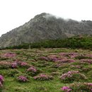 솔빛 2농장 이미지