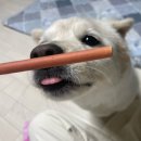 송천약국 | 일상 모음