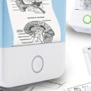 원 마트 이미지