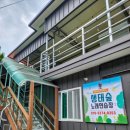 포레스트541 이미지