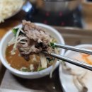 신정약초 이미지